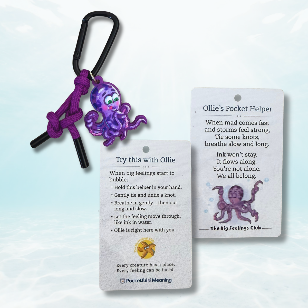Ollie's Pocket Helper