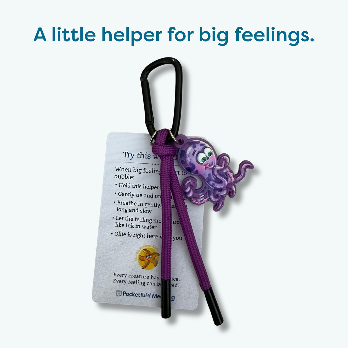 Ollie's Pocket Helper