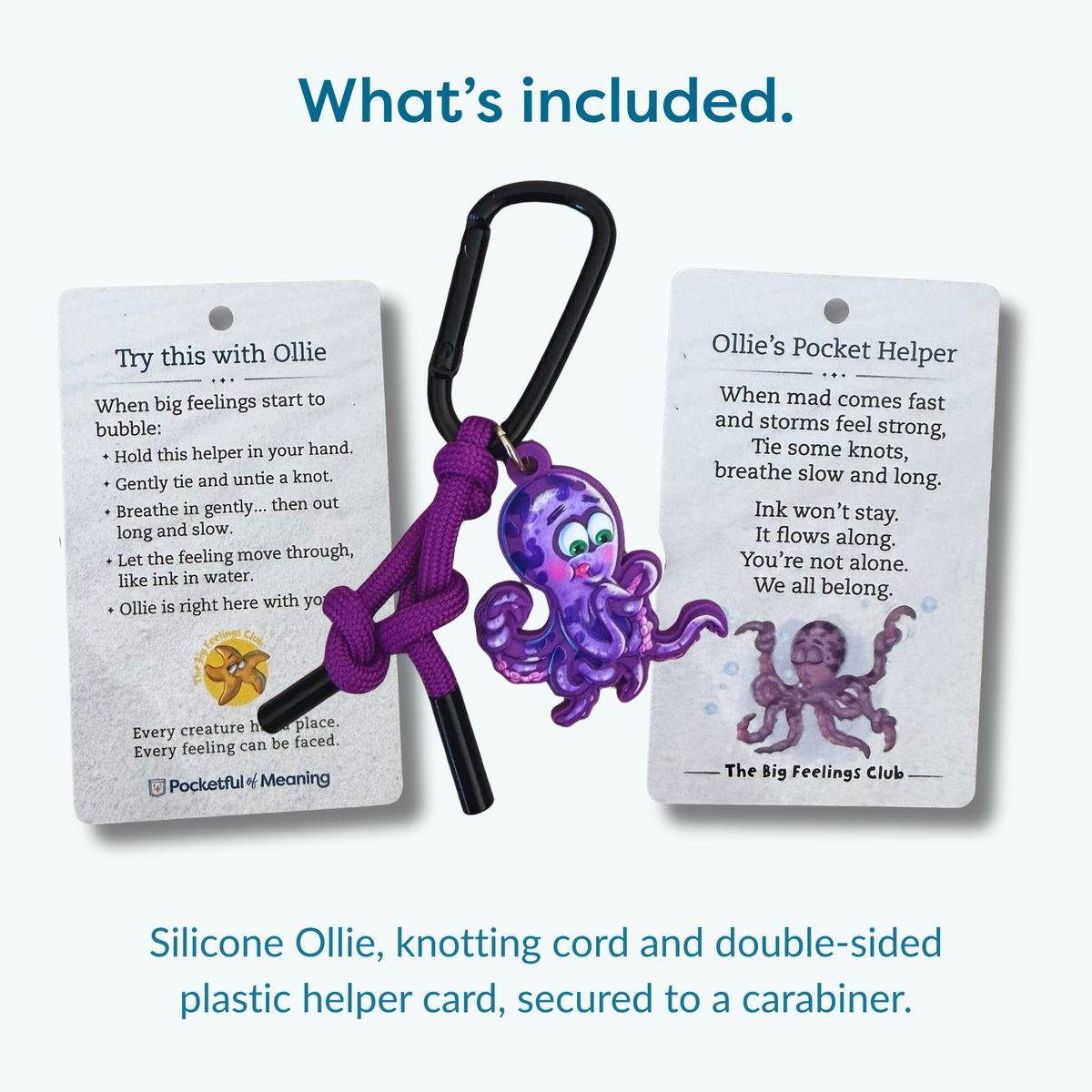 Ollie's Pocket Helper